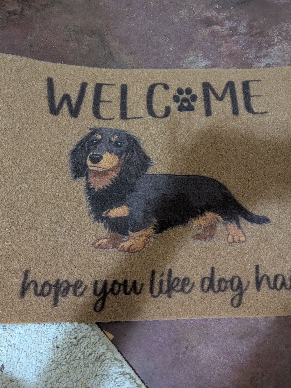 Welcome Dachshund Doormat - Brown/Black - Decorative Pet-Themed Welcome Mat